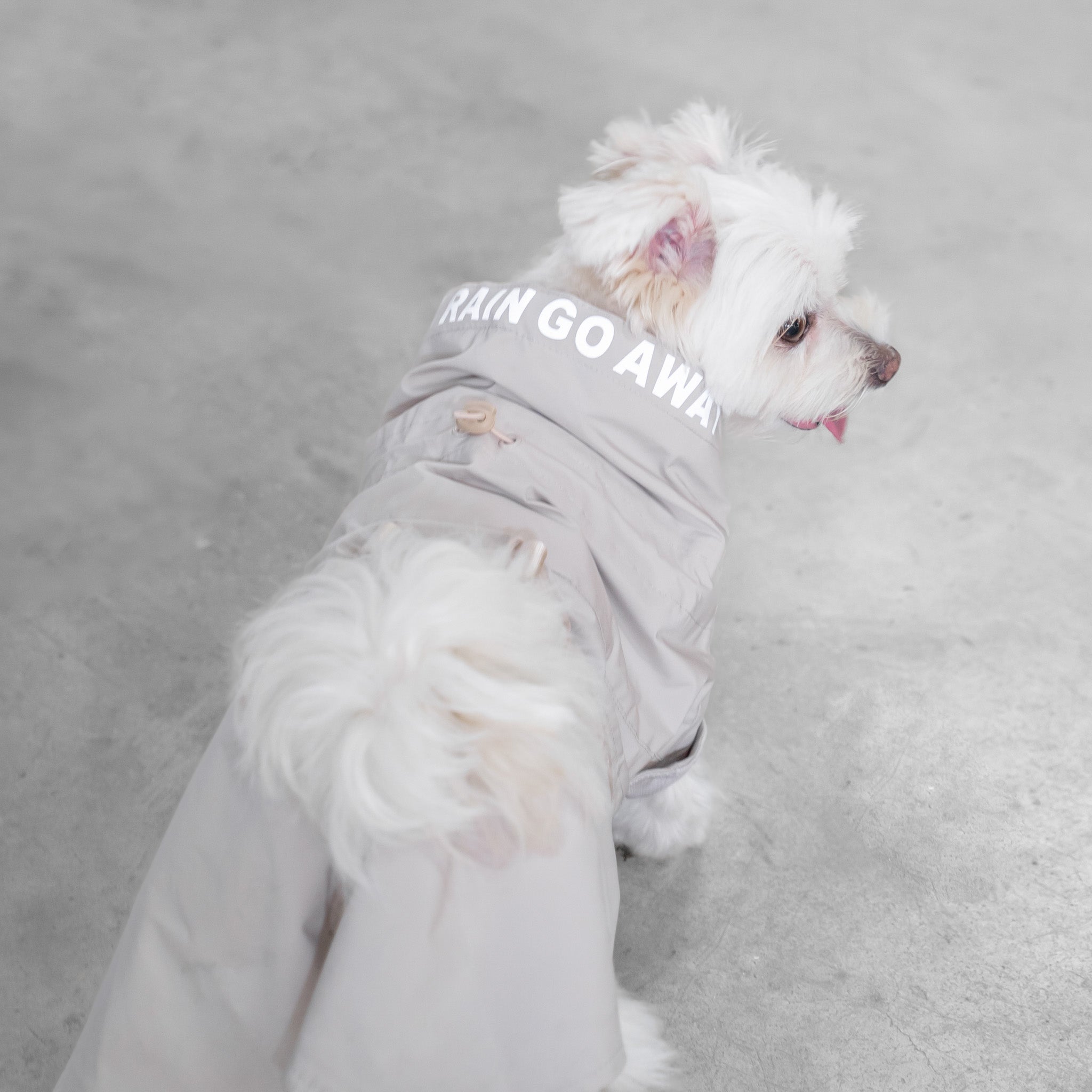 Lumi Raincoat (Sand) - Pups & Bubs