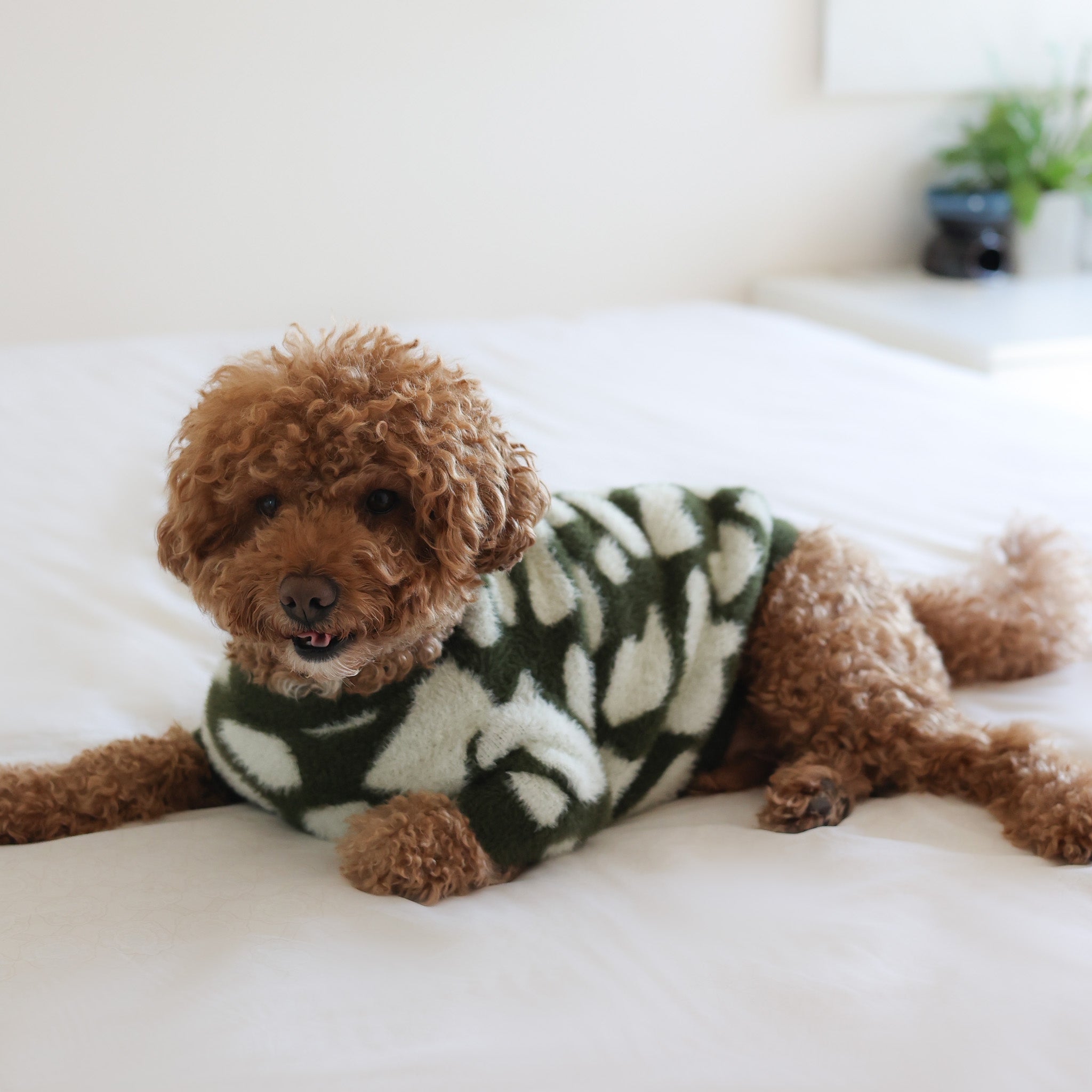 Moo Soft Cloud Sweater - Pups & Bubs