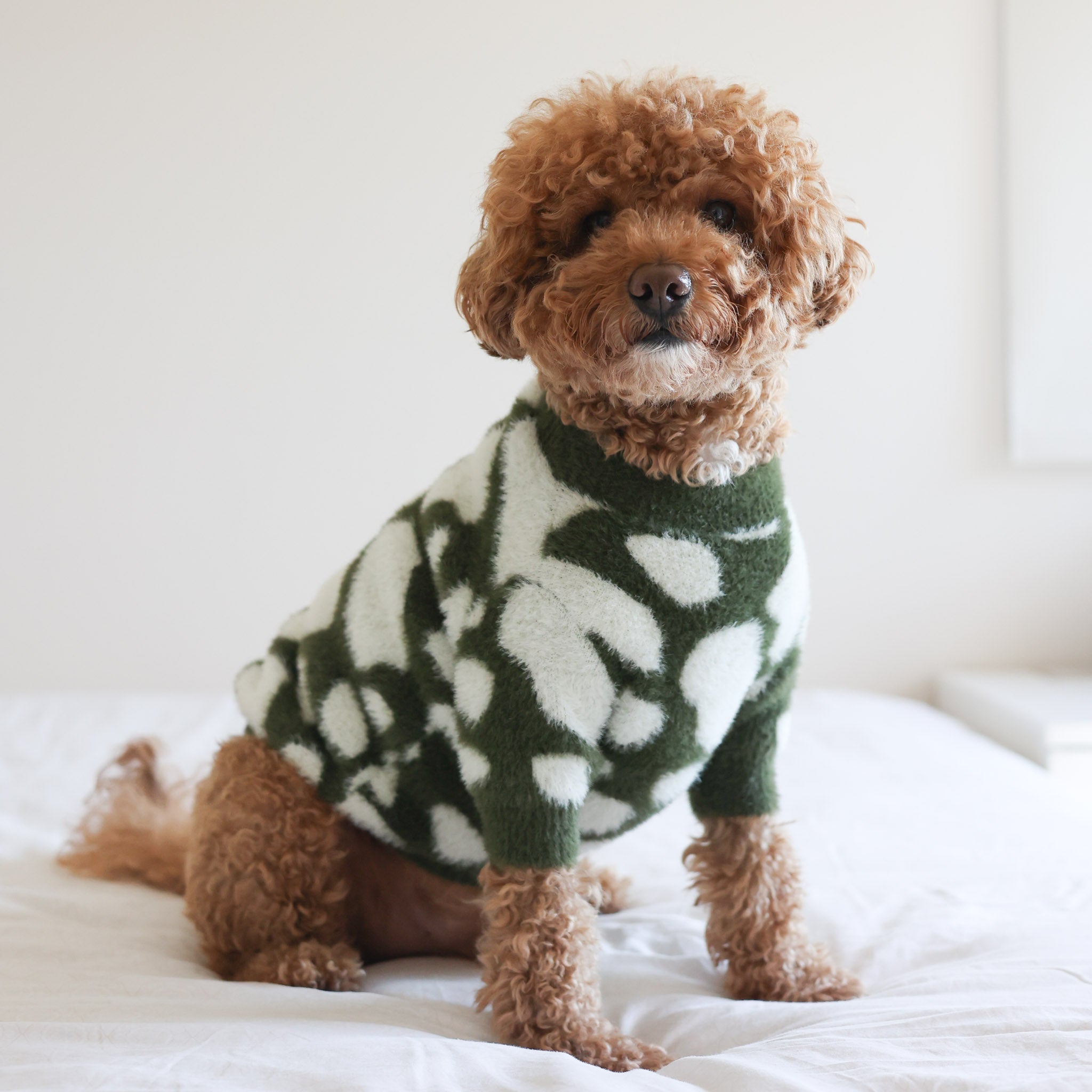 Moo Soft Cloud Sweater - Pups & Bubs