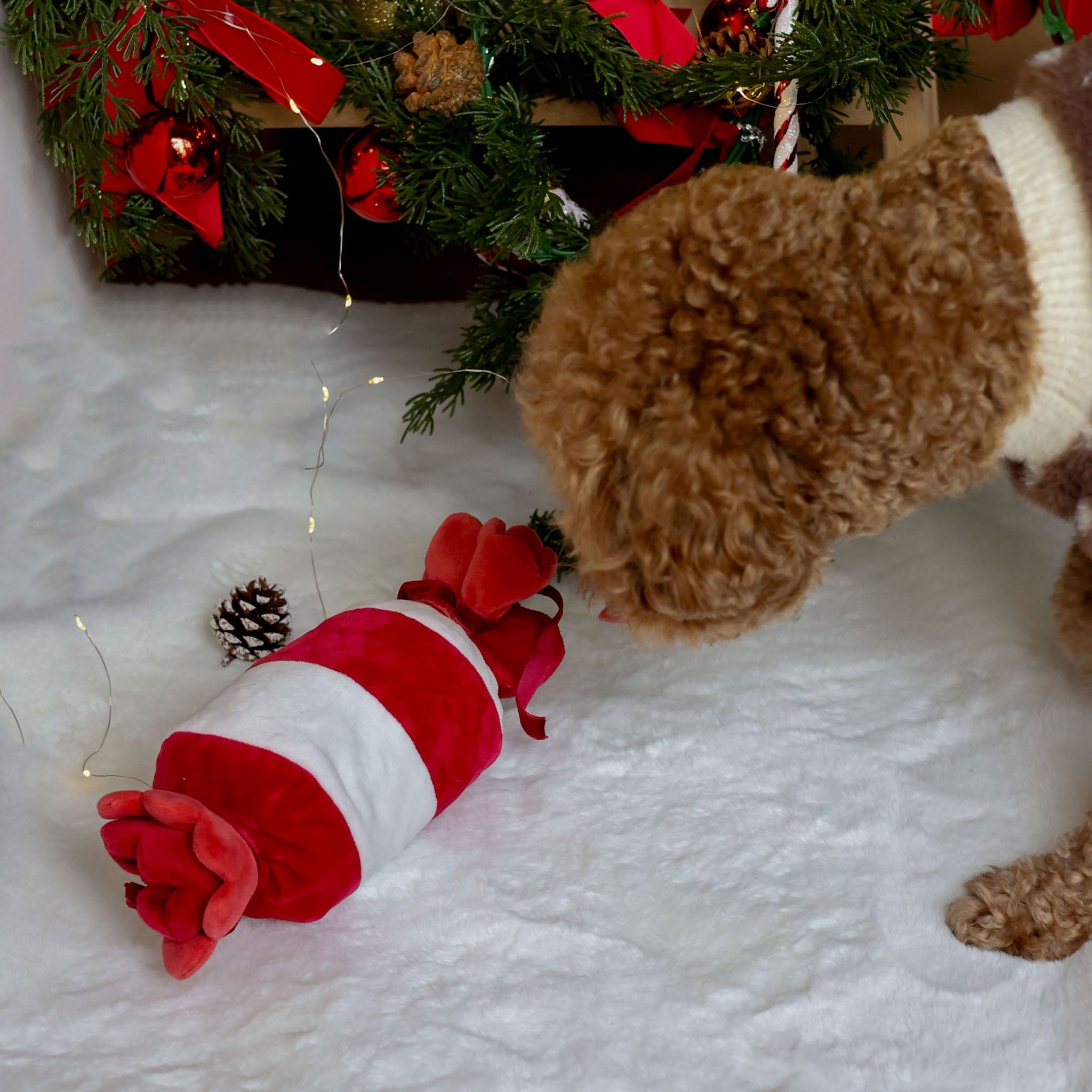 Innovative Lifestyle Pet Goods