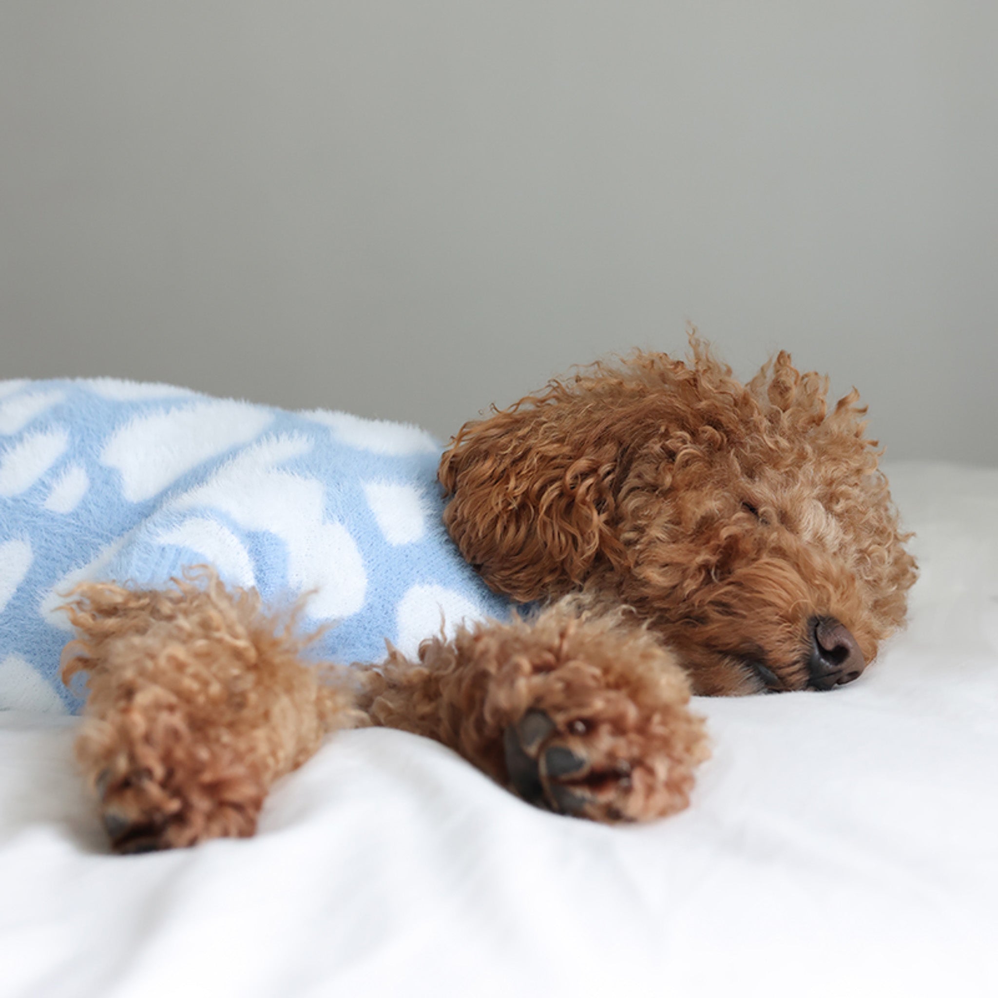 [Preorder] Cloud Soft Cloud Sweater - Pups & Bubs