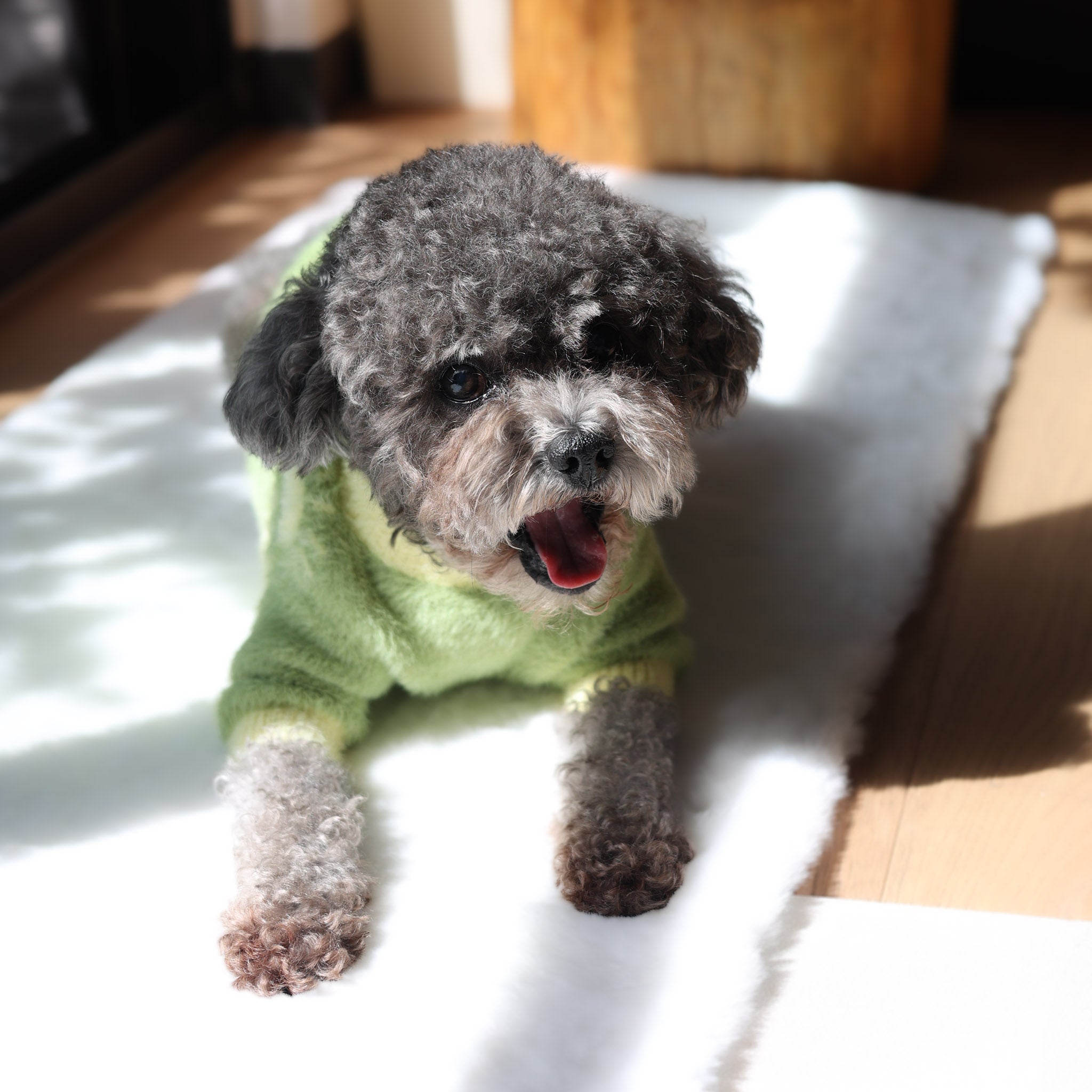 [Preorder] Little Sunshine Soft Cloud Sweater - Pups & Bubs