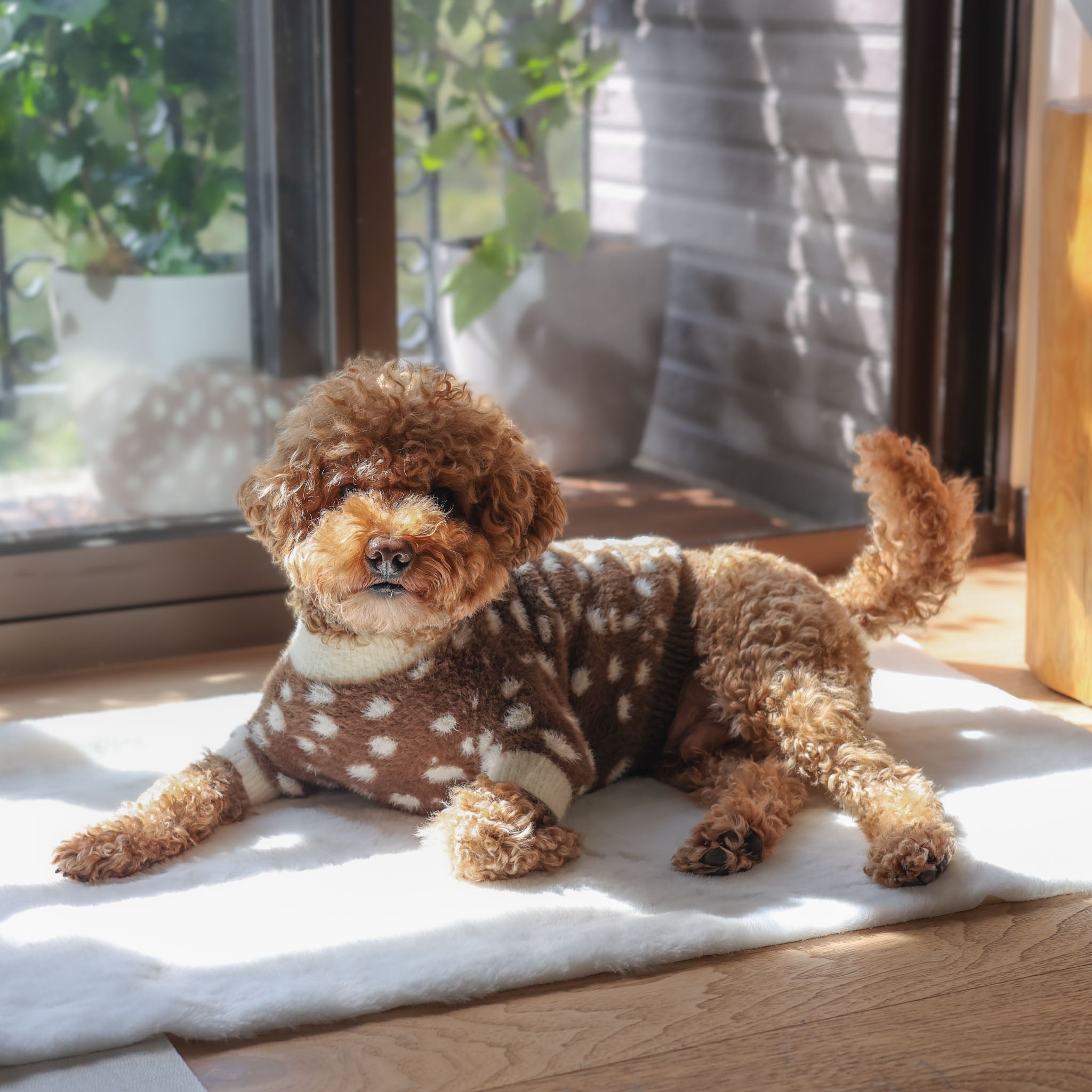 Oh Deer! Soft Cloud Sweater