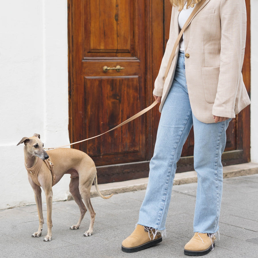 Roam Multi - Way Leash LITE (Desert) - Pups & Bubs