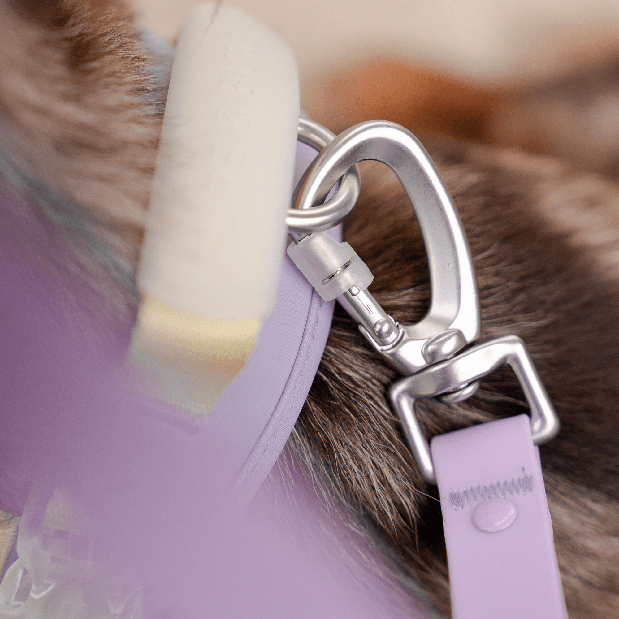 Roam Multi - Way Leash LITE (Grape Jelly) - Pups & Bubs