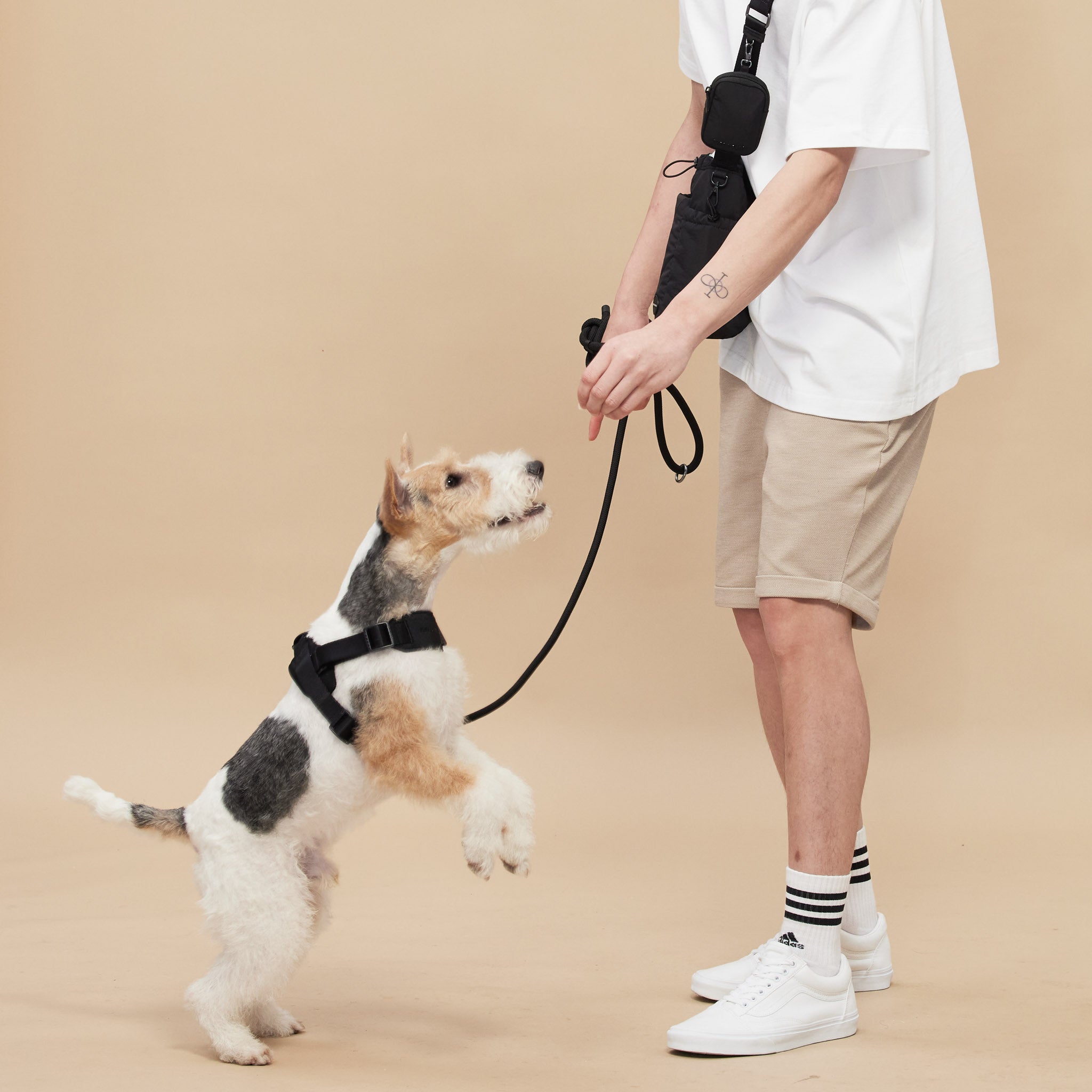 Rover Harness (Black) - Pups & Bubs