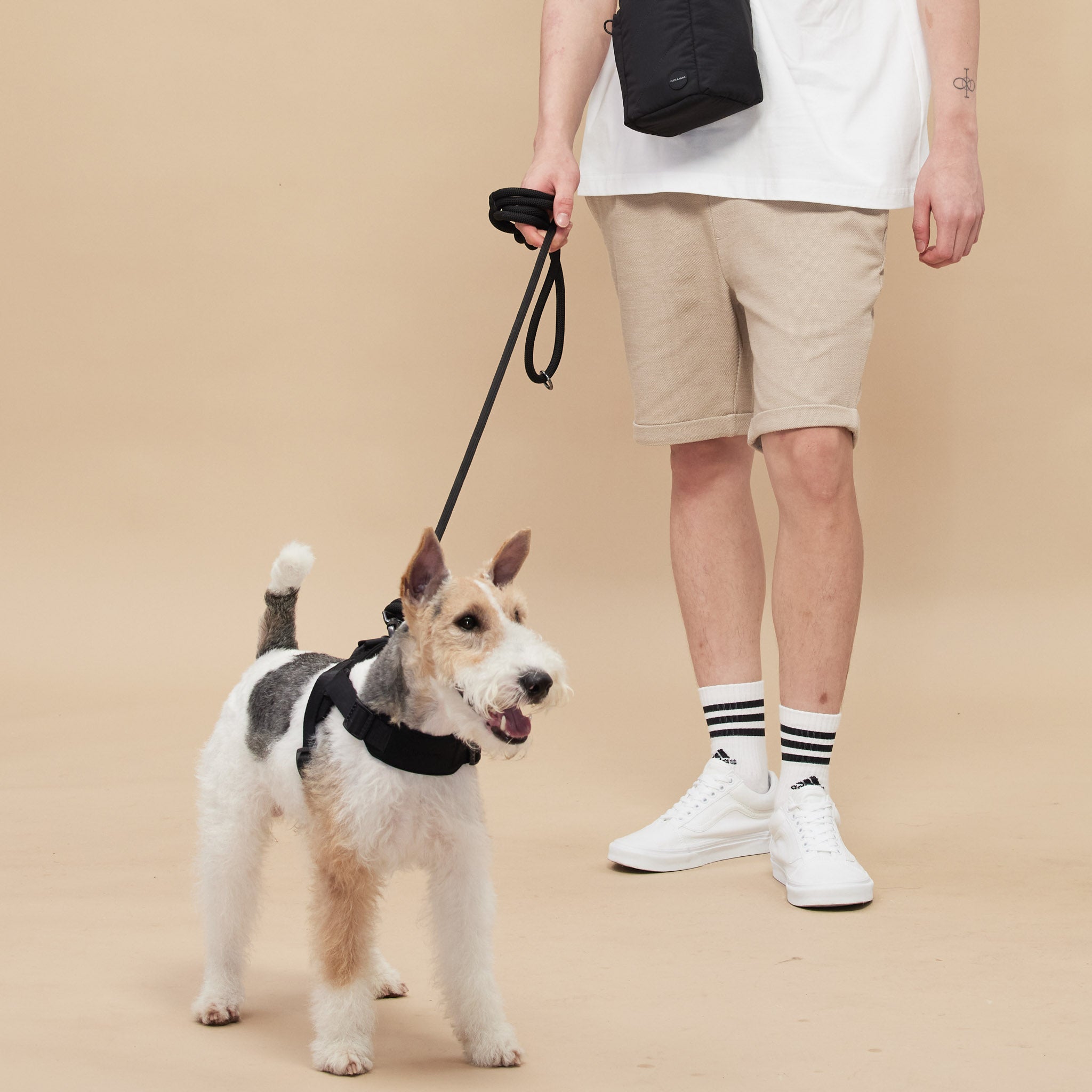 Rover Rope Leash (Black) - Pups & Bubs