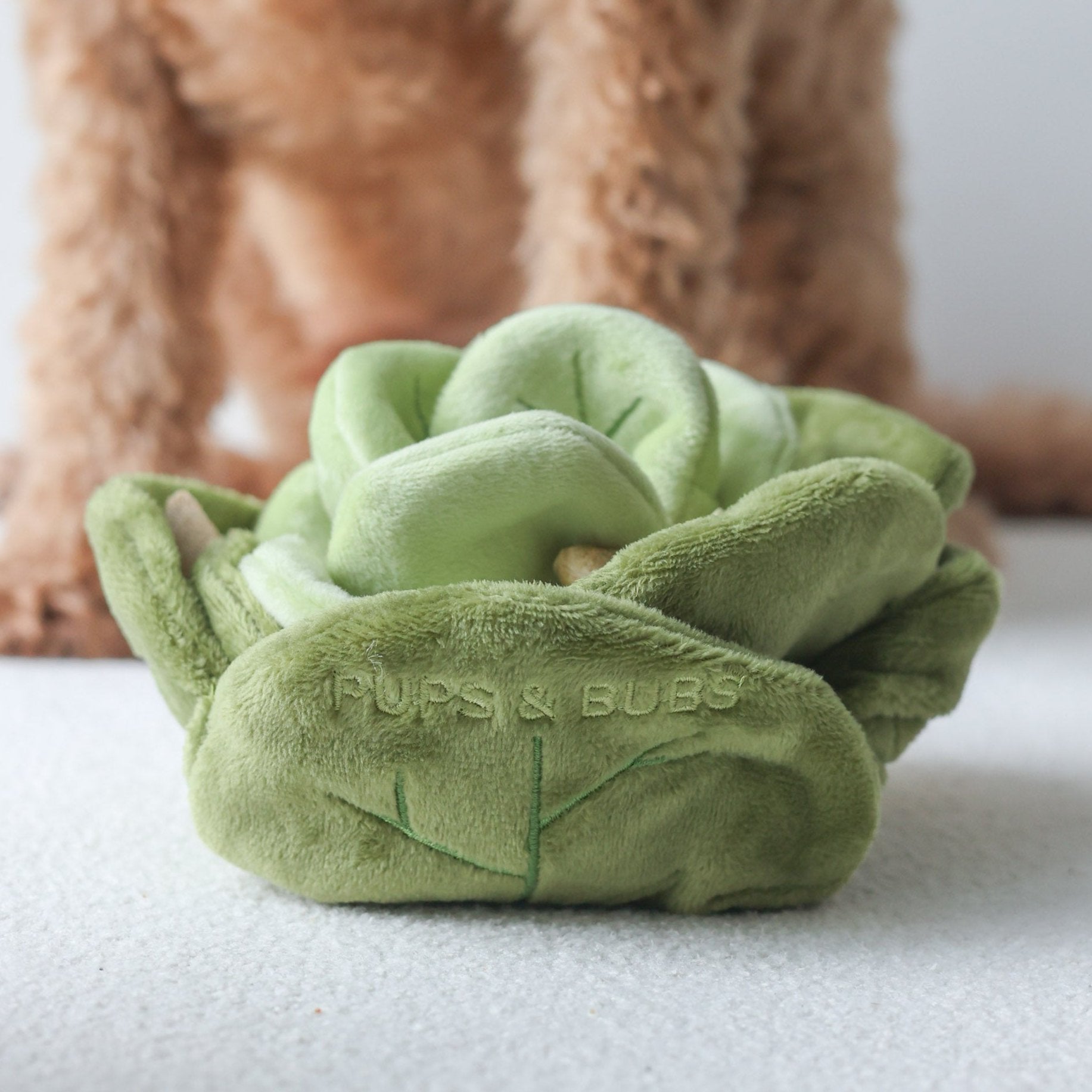 Snuffle Cabbage Nosework Toy - Pups & Bubs