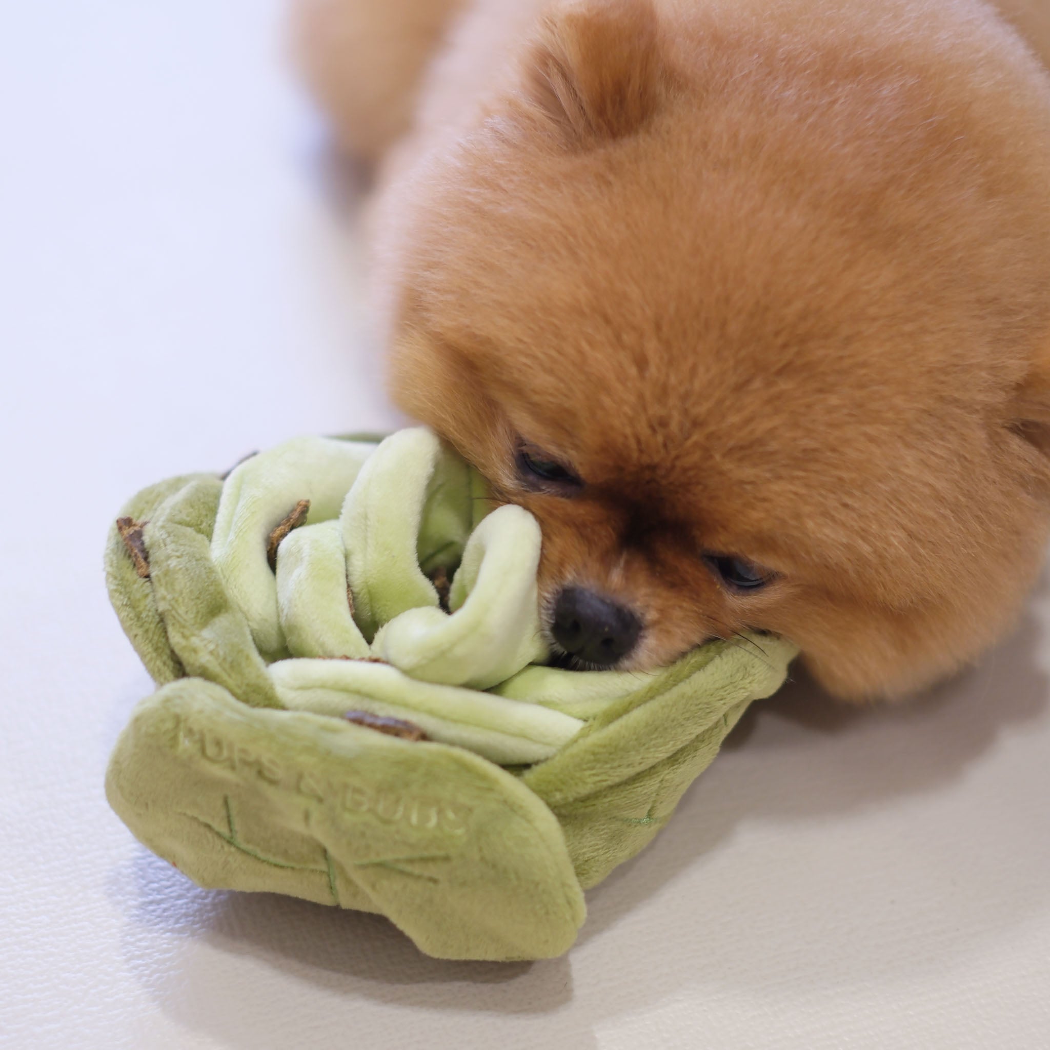 Snuffle Cabbage Nosework Toy - Pups & Bubs