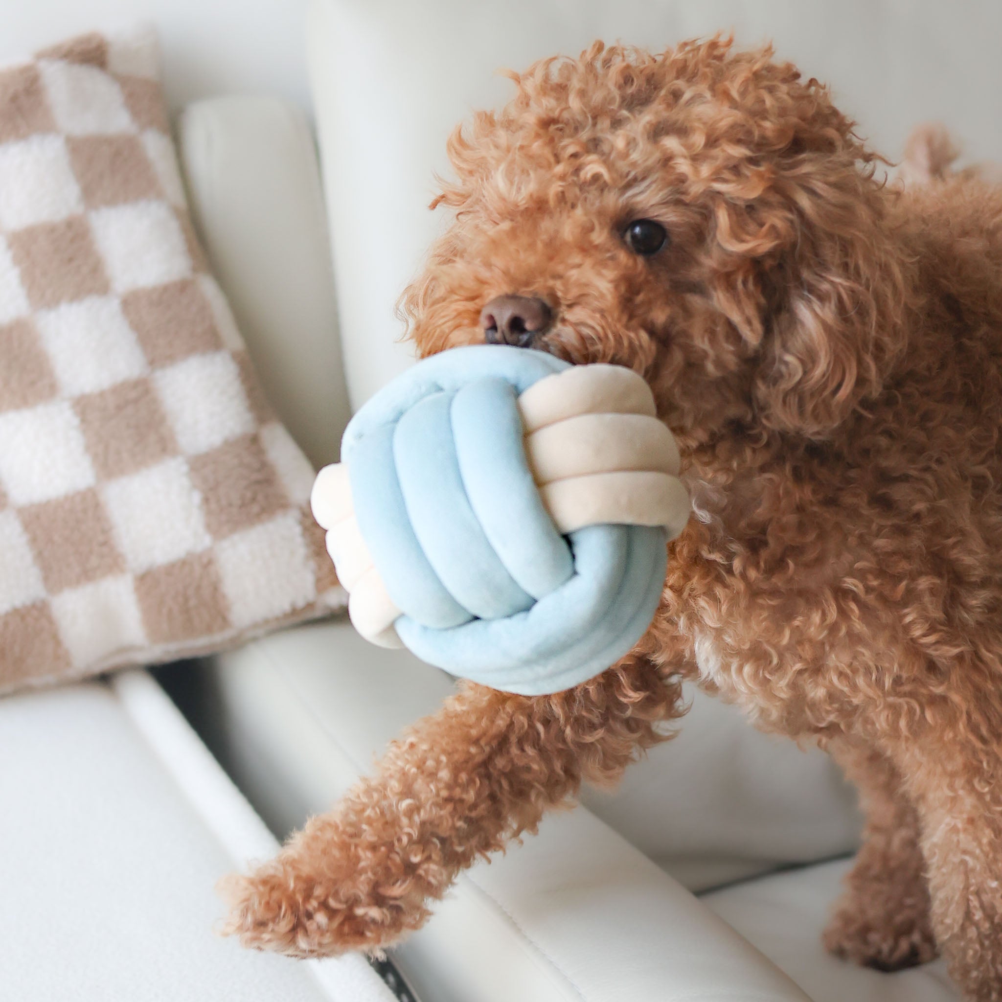 Snuffle Knot Nosework Toy - Pups & Bubs