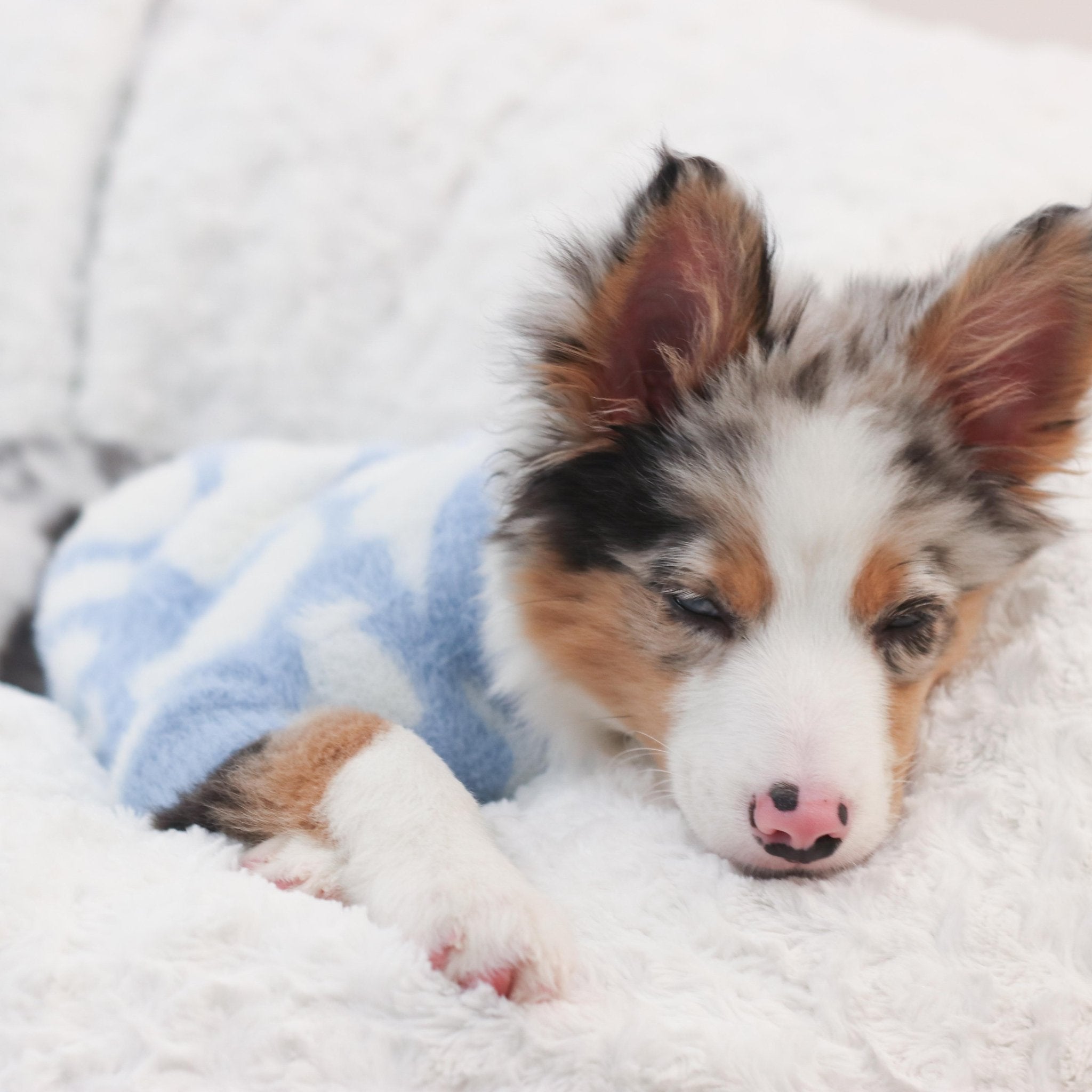 Soft Cloud Sweater (Cloud) w/ Leash Opening - Pups & Bubs