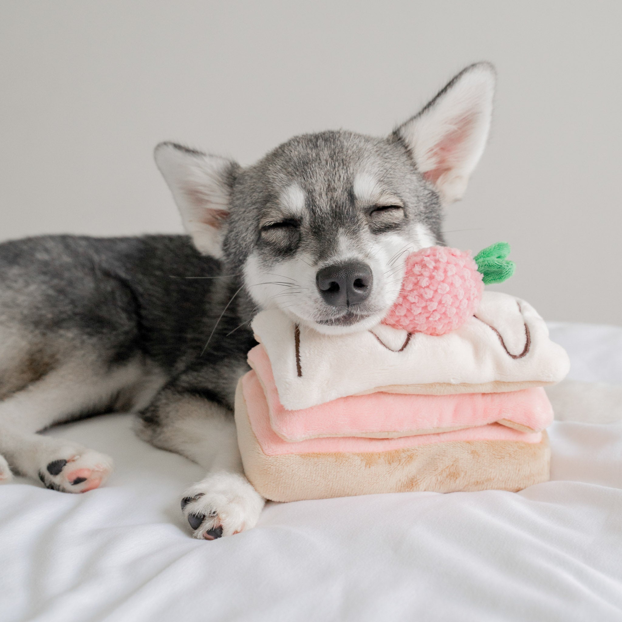 Strawberry Mille - Feuille Nosework Toy - Pups & Bubs