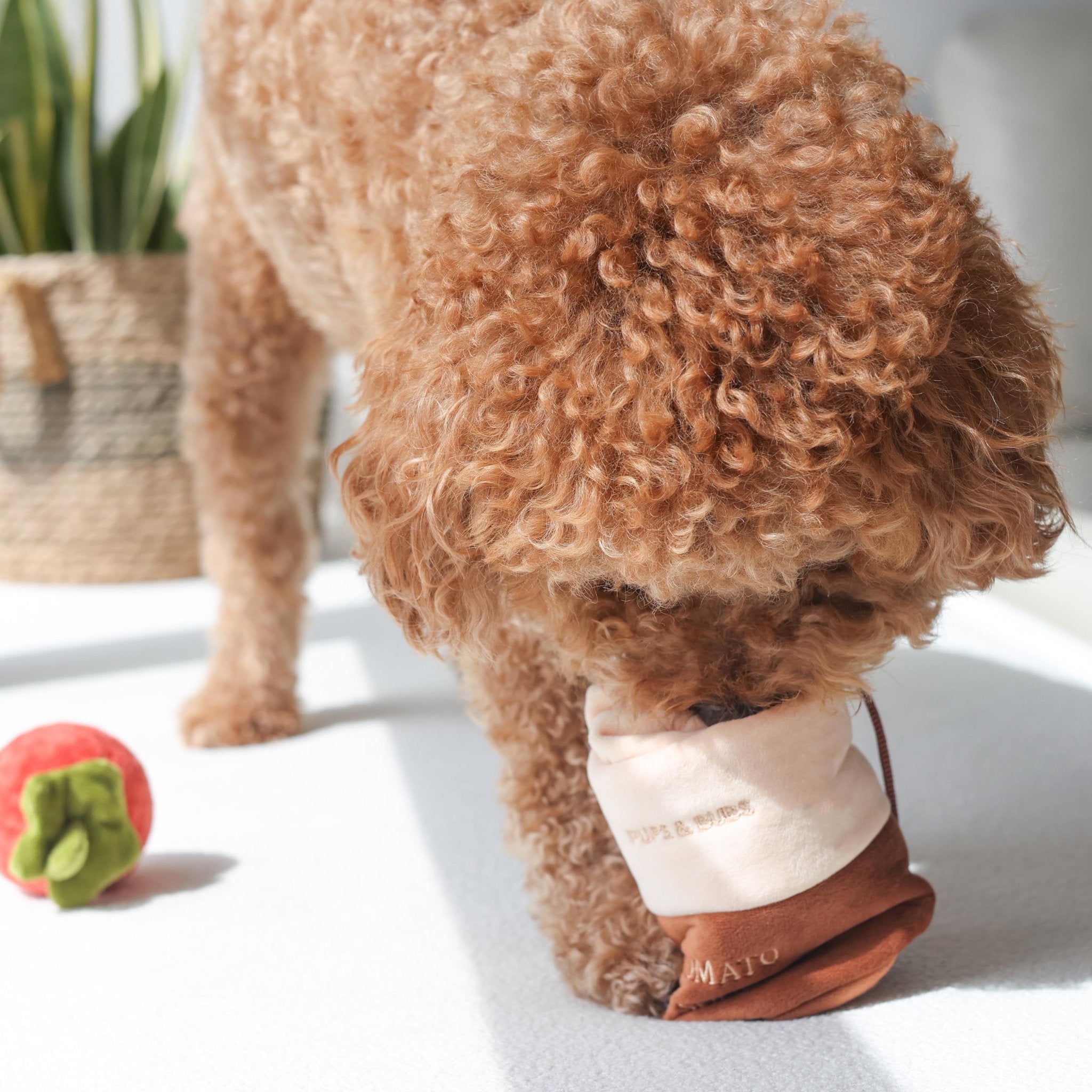 Tomato Soup Nosework Toy - Pups & Bubs