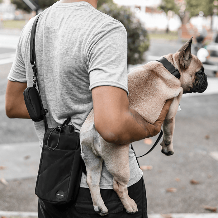 Amble Bottle Bag (Black) - Pups & Bubs