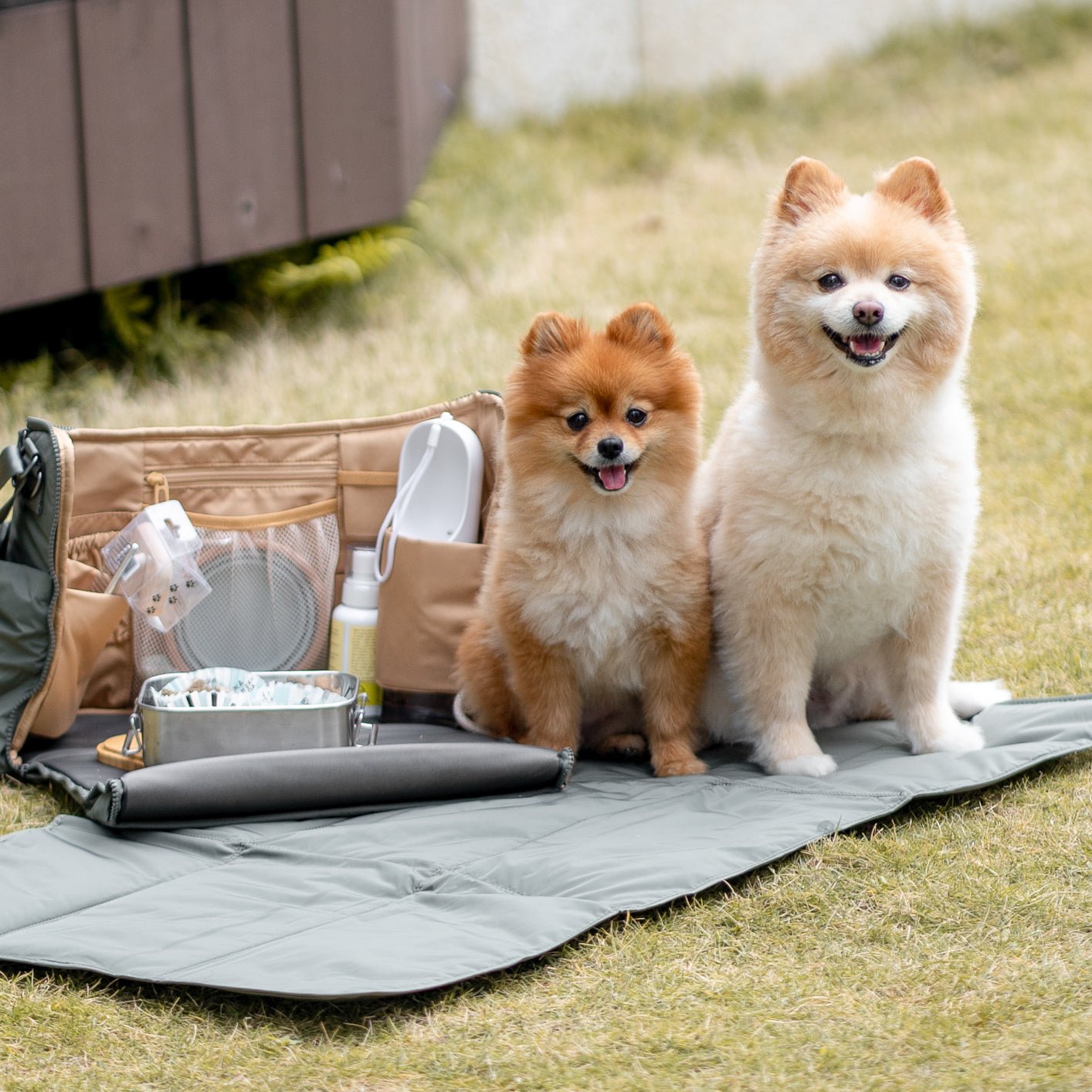 Breeze Picnic & Stroller Bag w/ Travel Mat (Olive) - Pups & Bubs