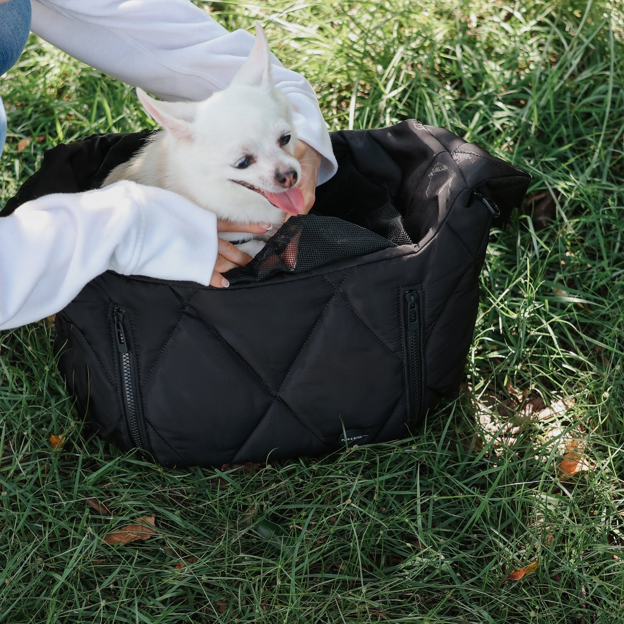 Puppy in hot sale bag