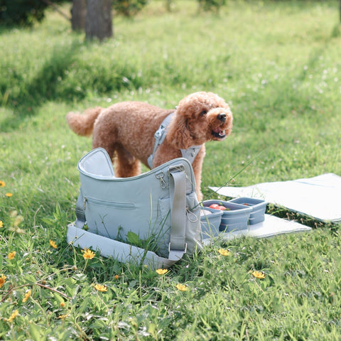 [Coming Soon] Breeze Picnic & Stroller Bag (Sky) - Pups & Bubs