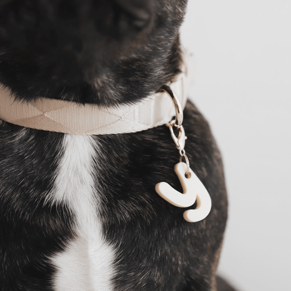 Easily Collar (Sand) - Pups & Bubs