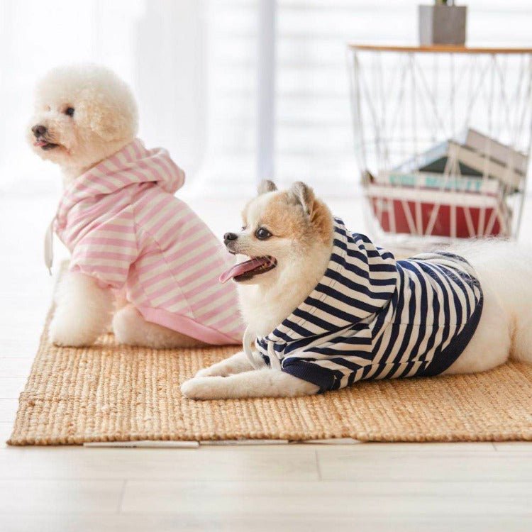 Striped Jacket Bichon Frise Stuffed Animal Plush Toy