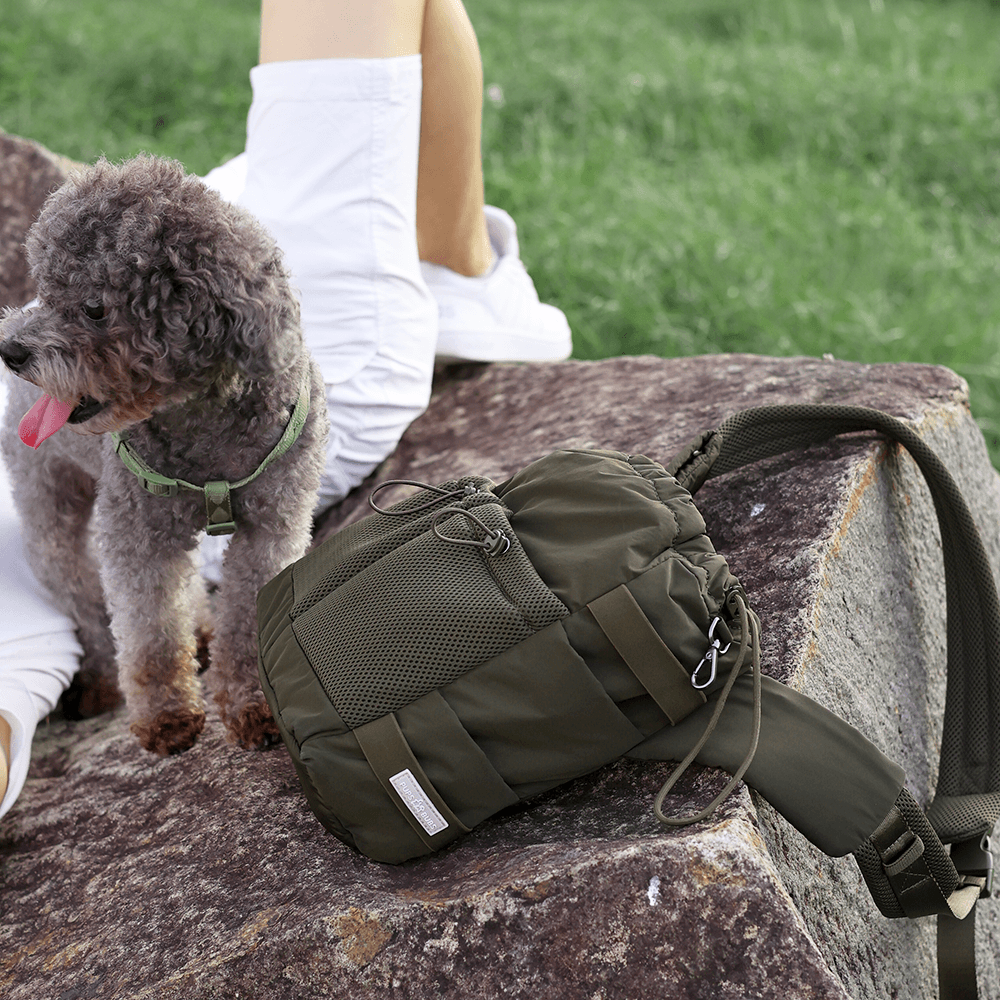 Dog sales walking backpack