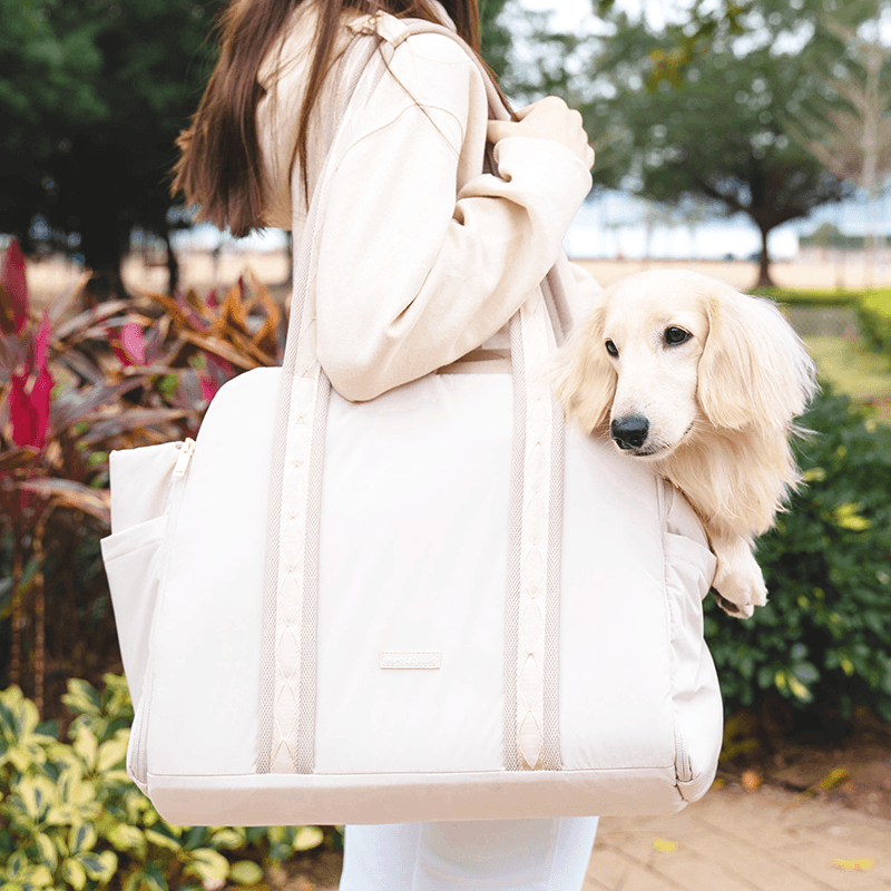 convertible tote bag