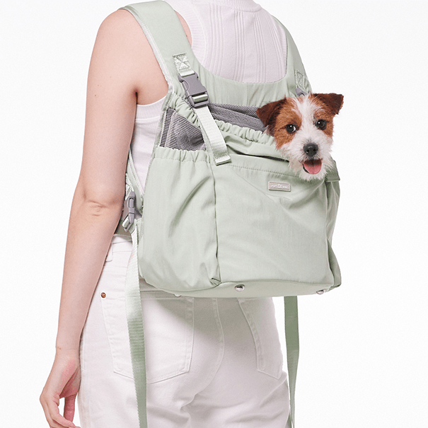 Pet Carrier, Louis Vuitton.  Pet carrier bag, Pet carriers, Cute dog  clothes
