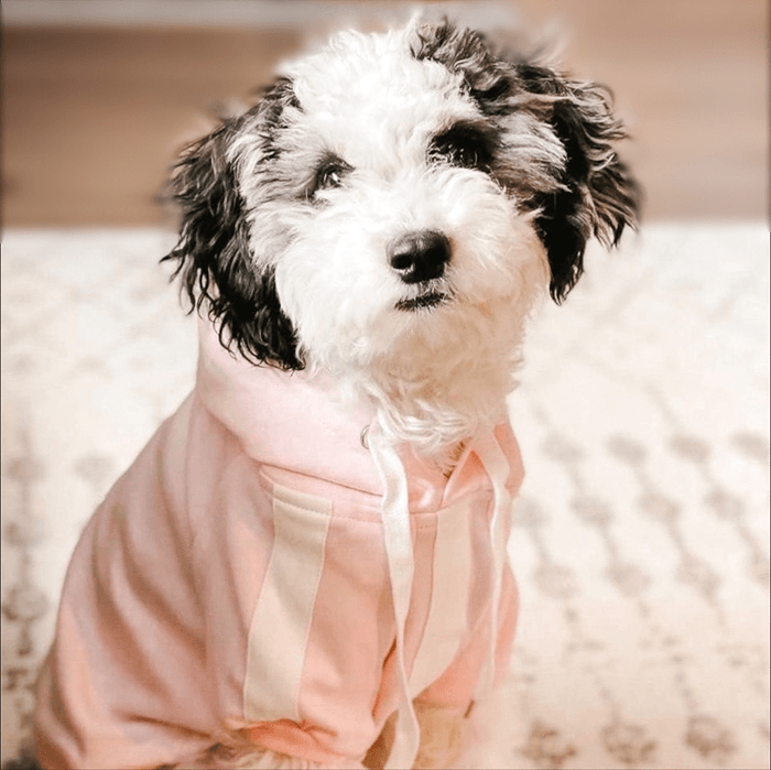 Lounge All Day Hoodie (Organic Cotton) - Pups & Bubs