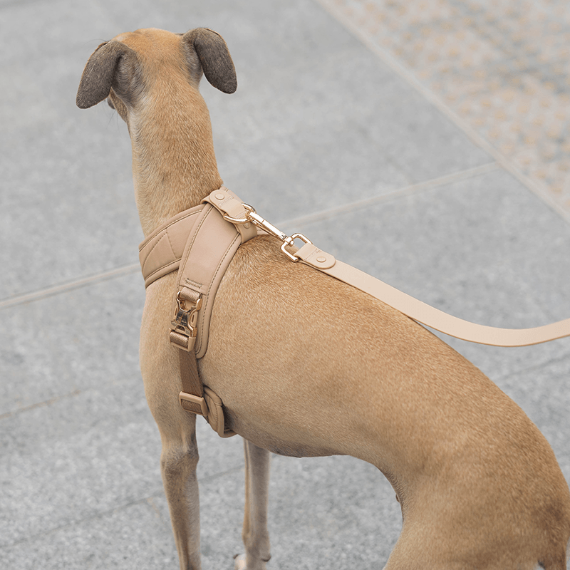 Luxe dog deals harness
