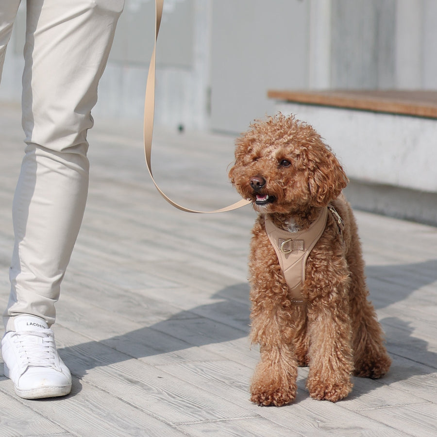 [NEW] Roam Luxe Harness (Desert) - Pups & Bubs