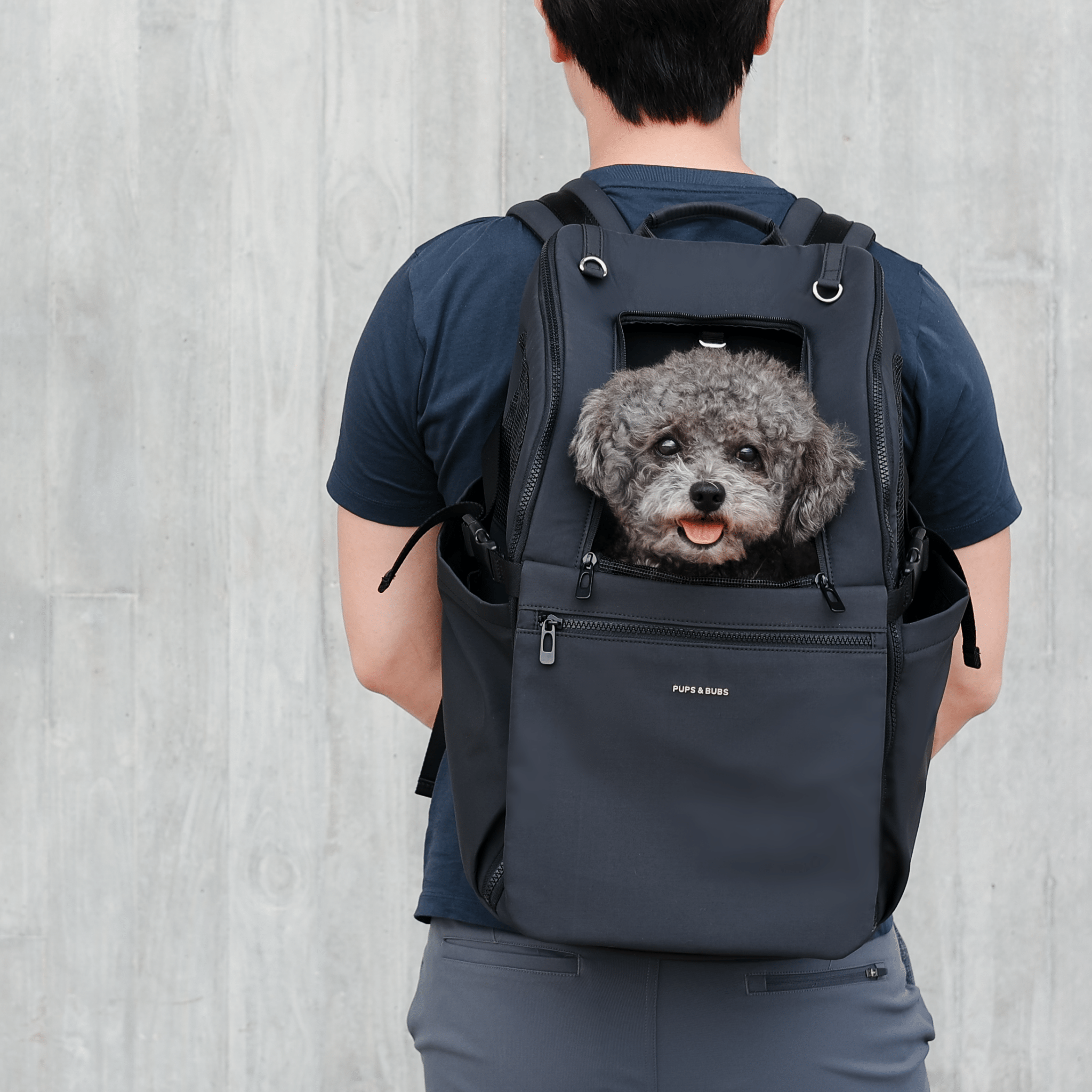 [New] Traveler Pet Carrier Backpack (Black) - Pups & Bubs