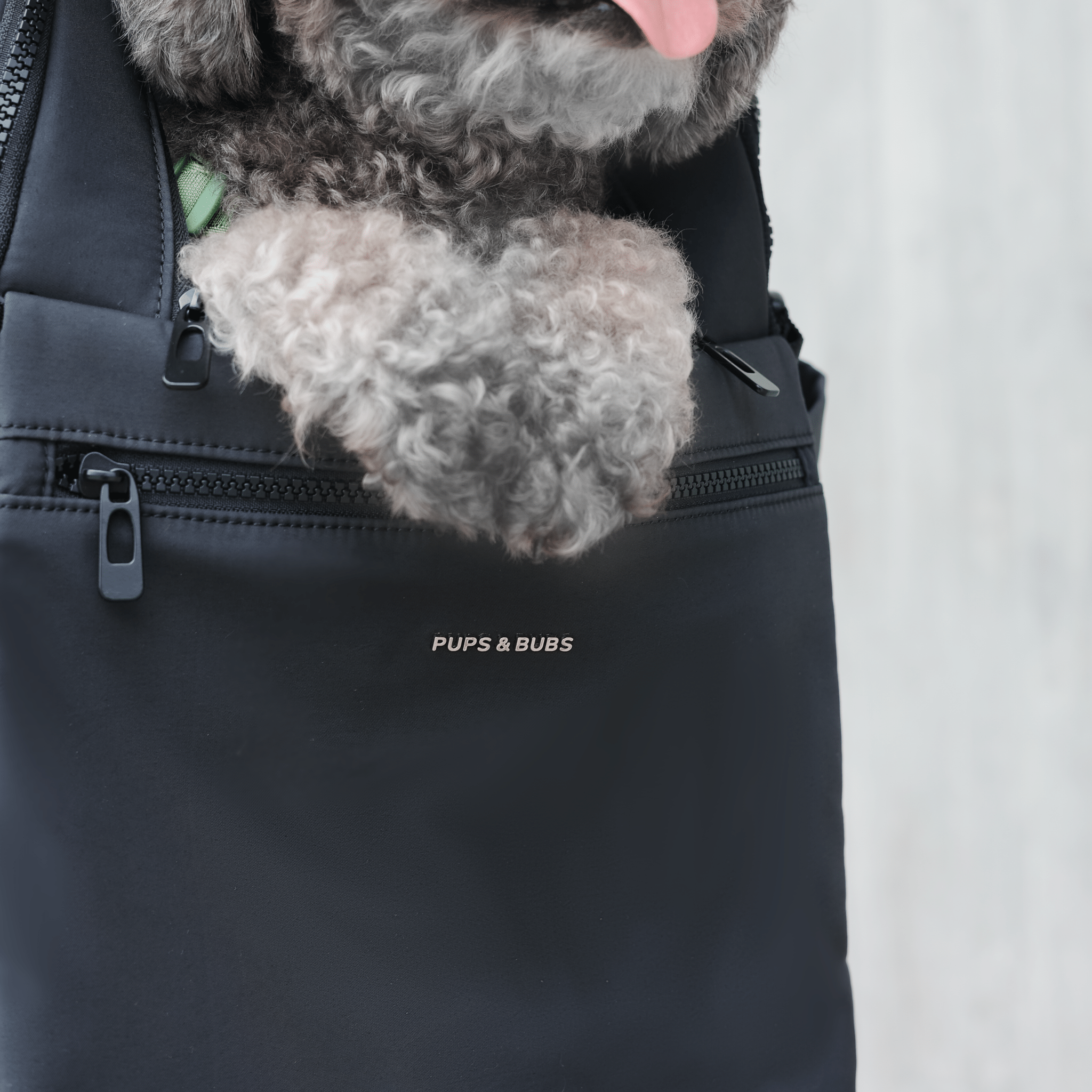 [New] Traveler Pet Carrier Backpack (Black) - Pups & Bubs