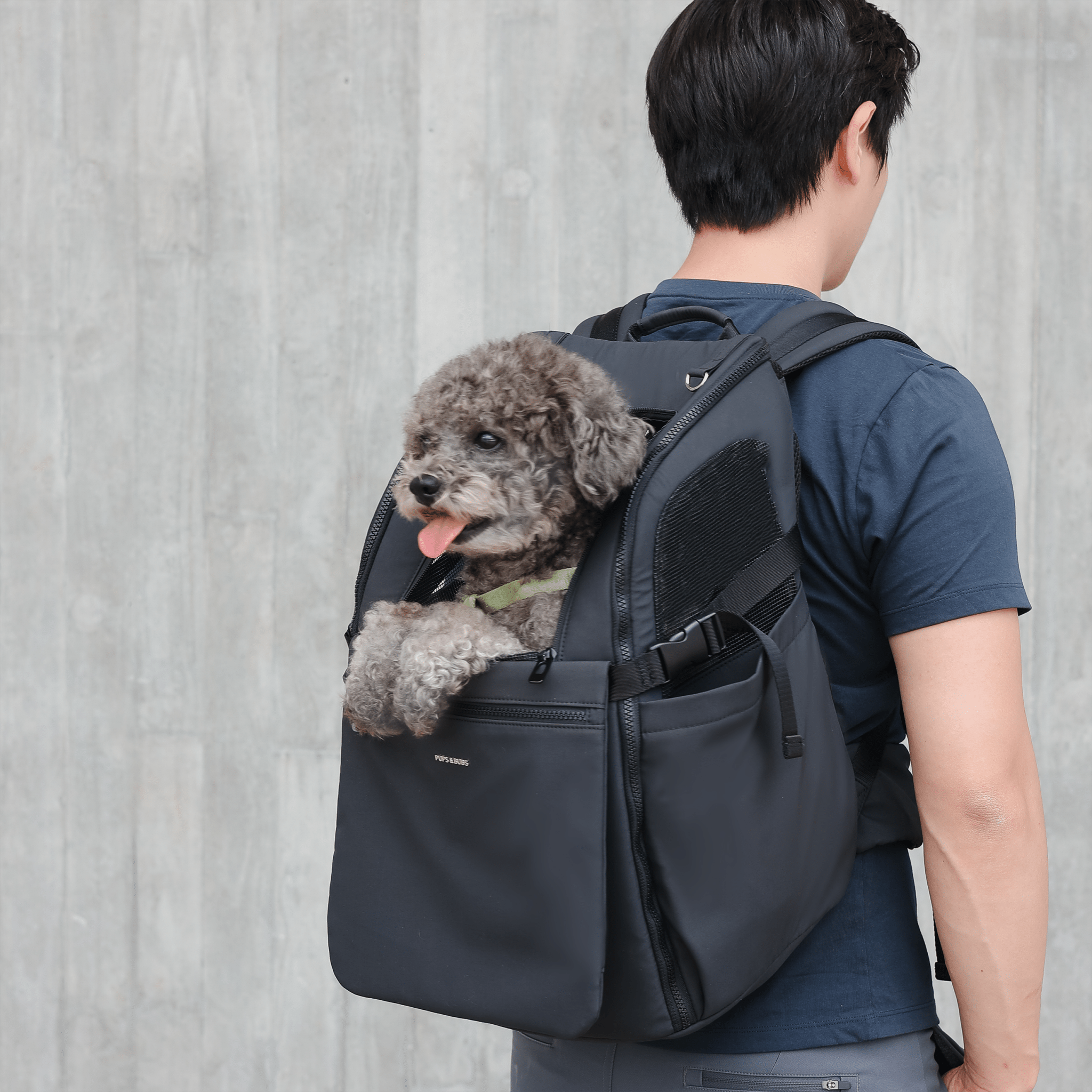 [New] Traveler Pet Carrier Backpack (Black) - Pups & Bubs