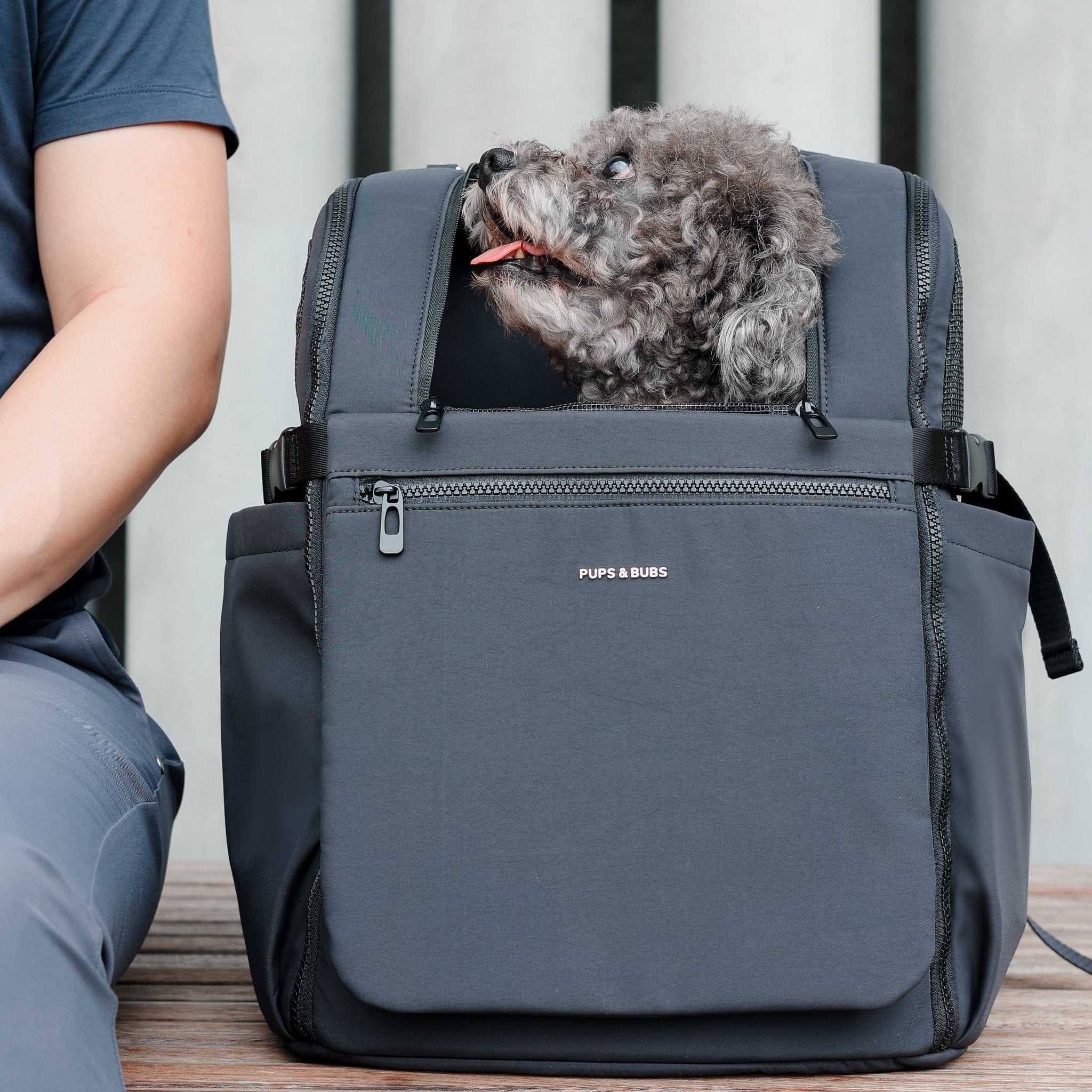 [New] Traveler Pet Carrier Backpack (Black) - Pups & Bubs