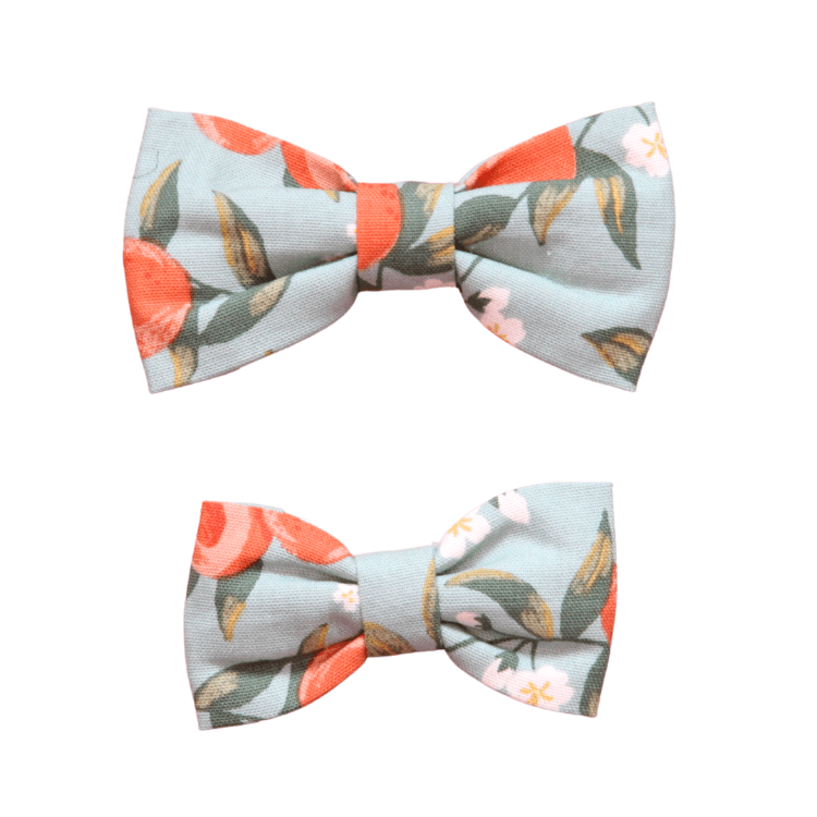 Peachy Day / Statement Bows - Pups & Bubs