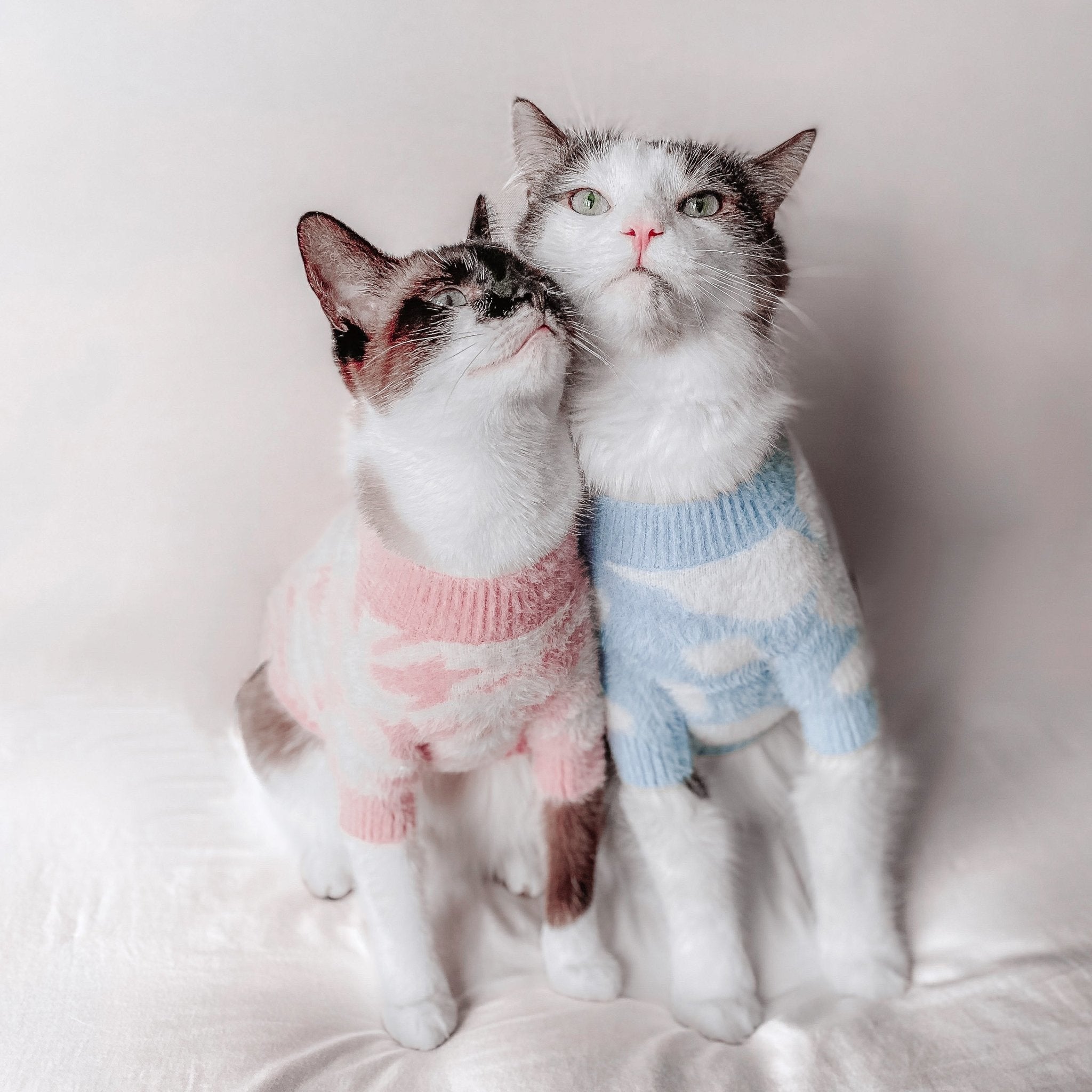 Soft Cloud Sweater (Jolie) w/ Leash Opening - Pups & Bubs